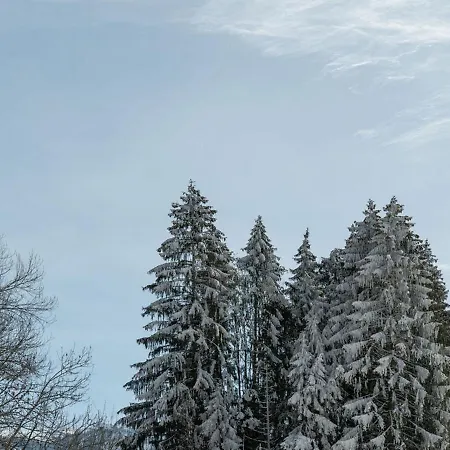 Apartment Spacieux T3, 6 Pers, Calme, Balcon, Parking, Casier A Skis, Navette A 150m - Fr-1-572-278